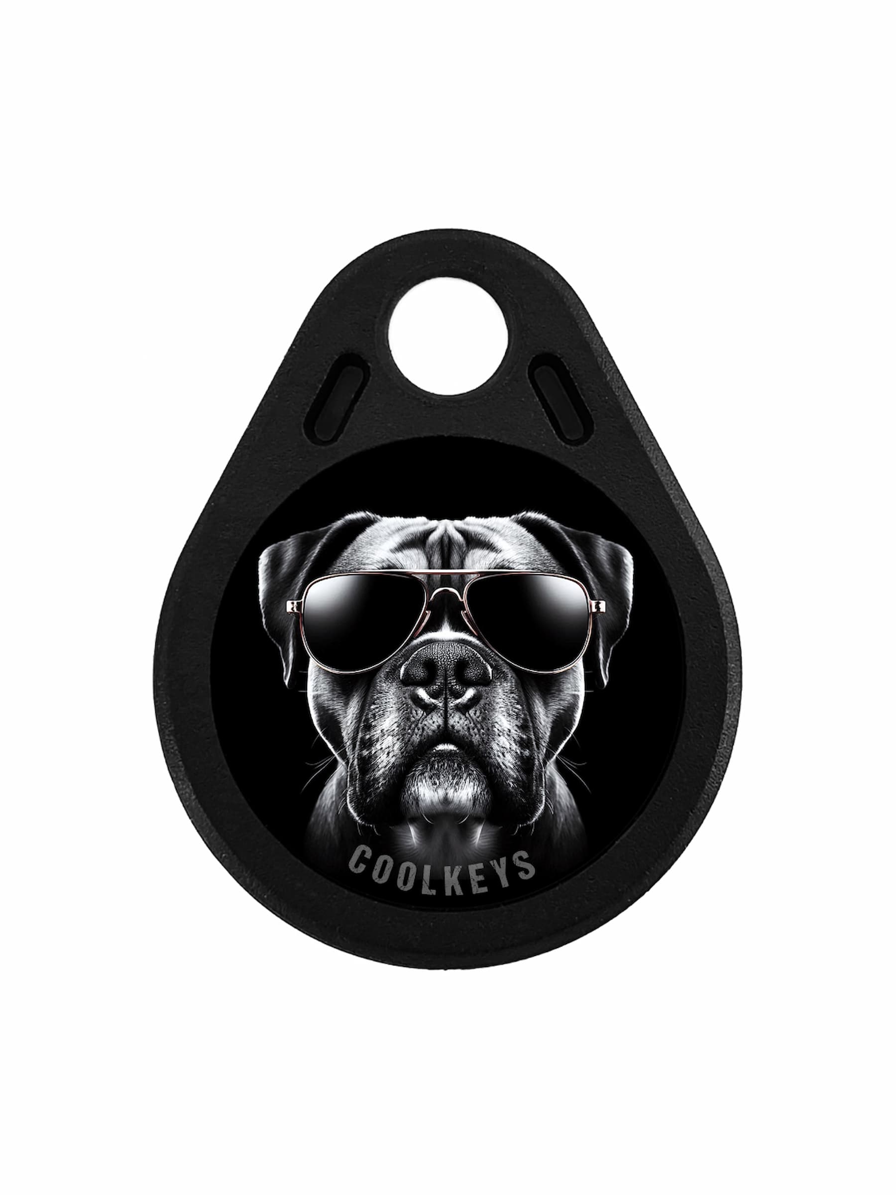 cool rfid tags key dog