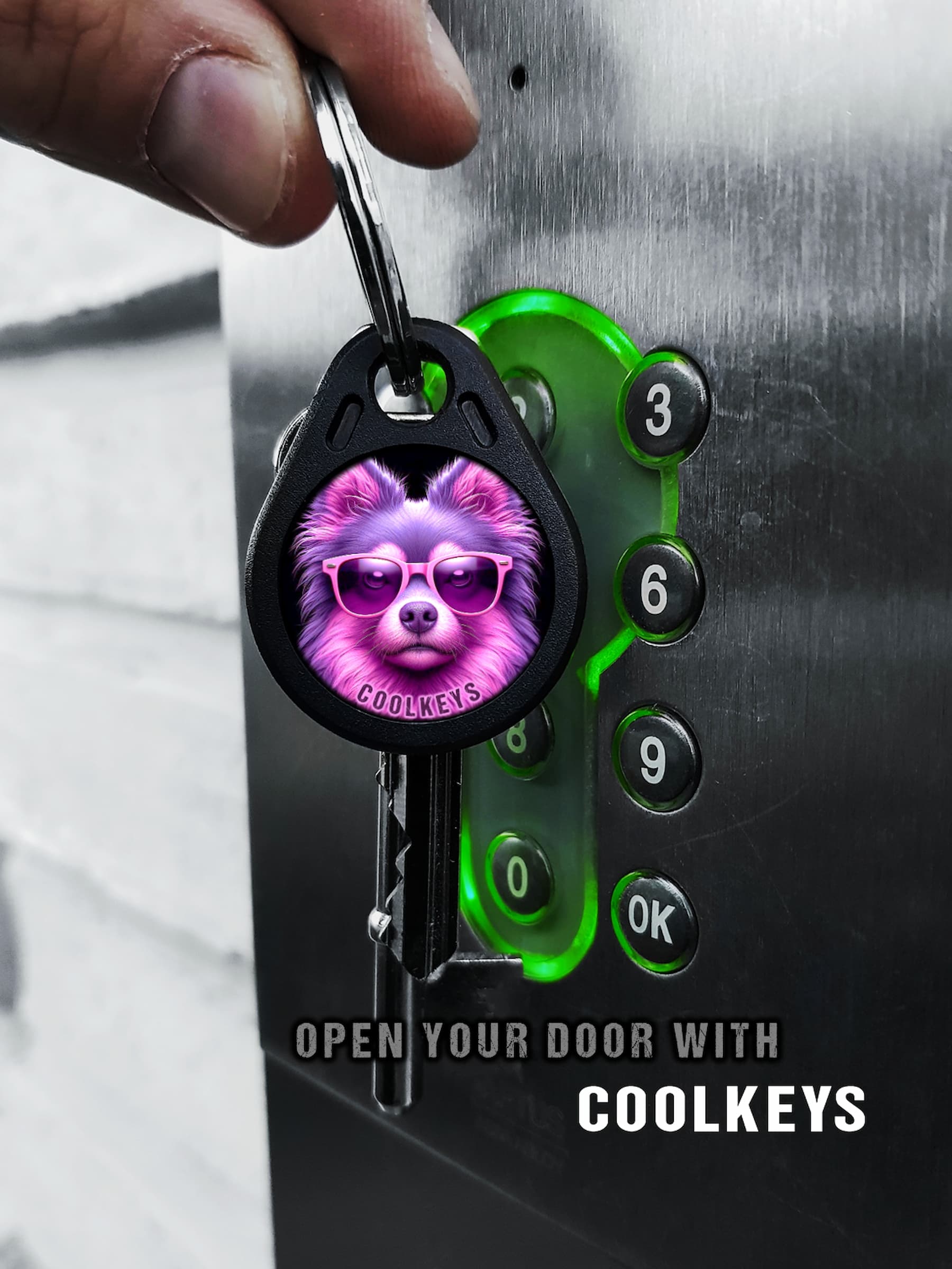 cool rfid tags key dog