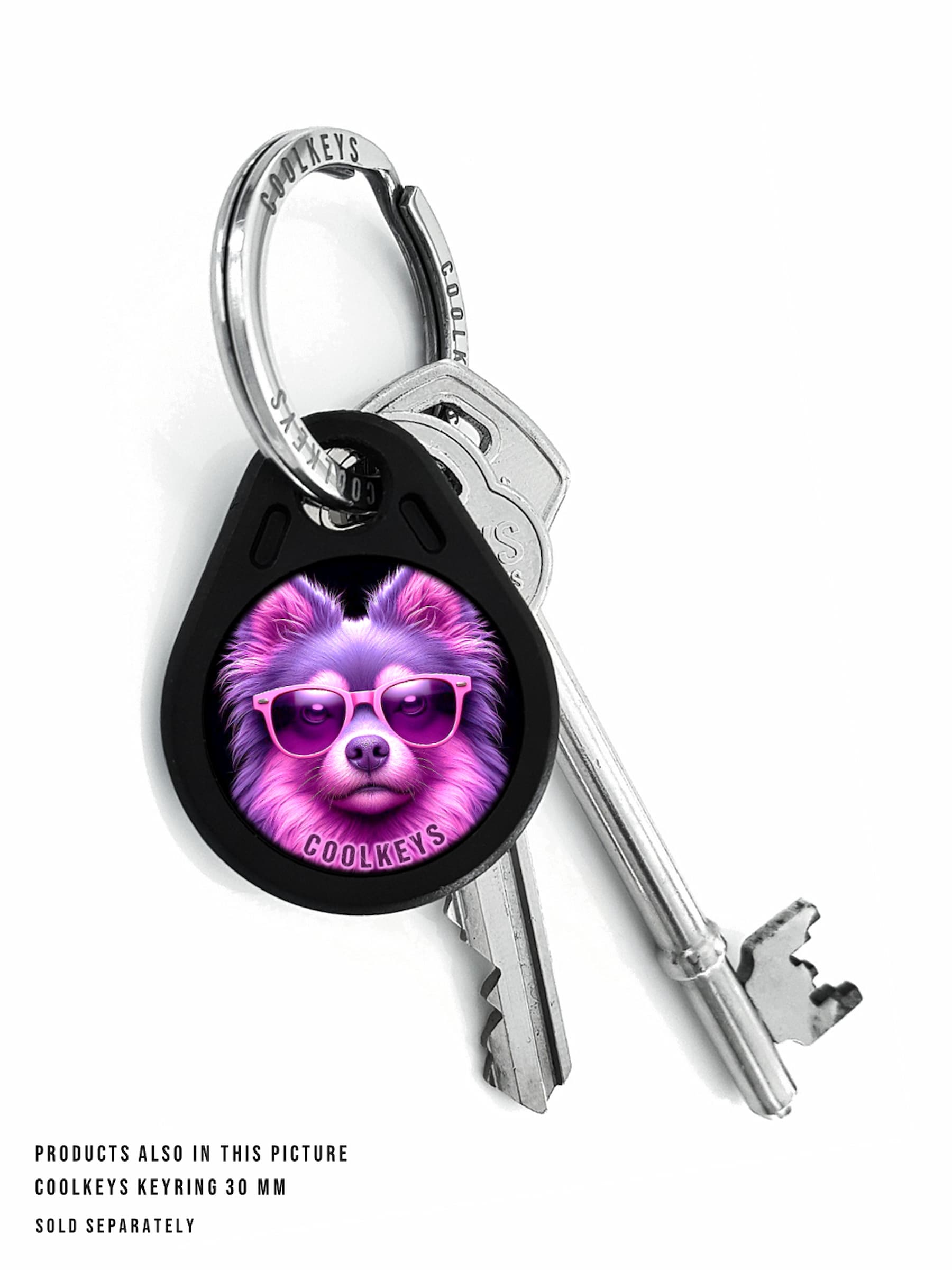 cool rfid tags key dog
