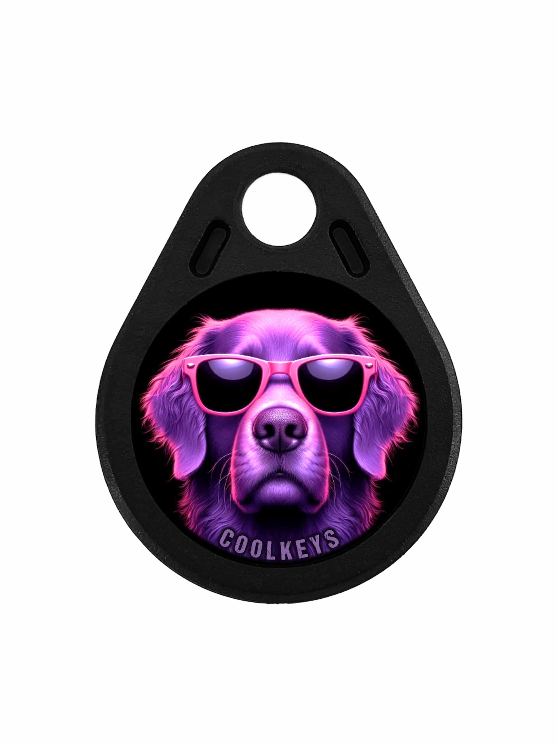 cool rfid tags key dog