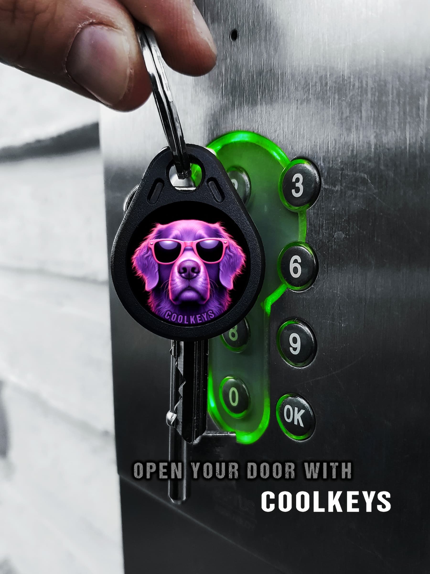 cool rfid tags key dog